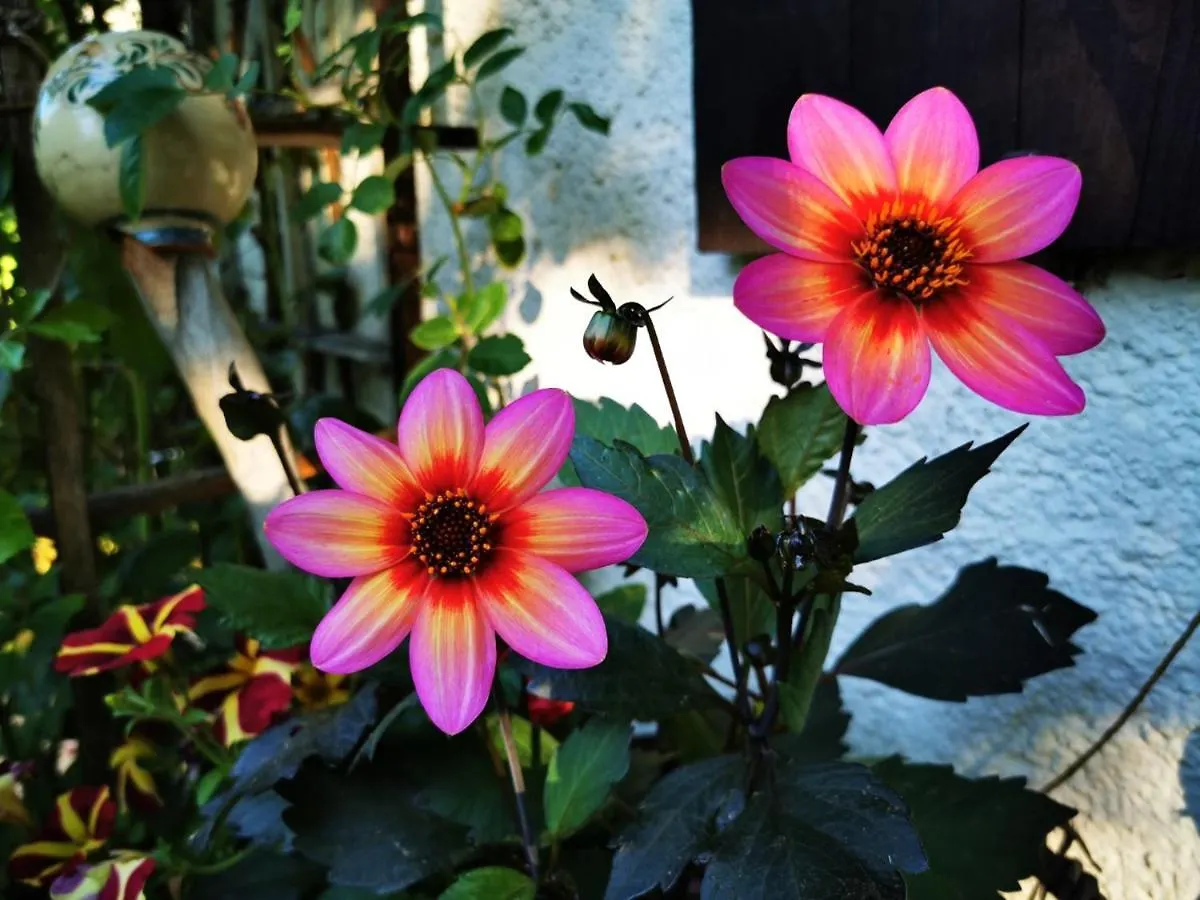 Gaestehaus Neu Am Passionstheater Oberammergau Bed & Breakfast